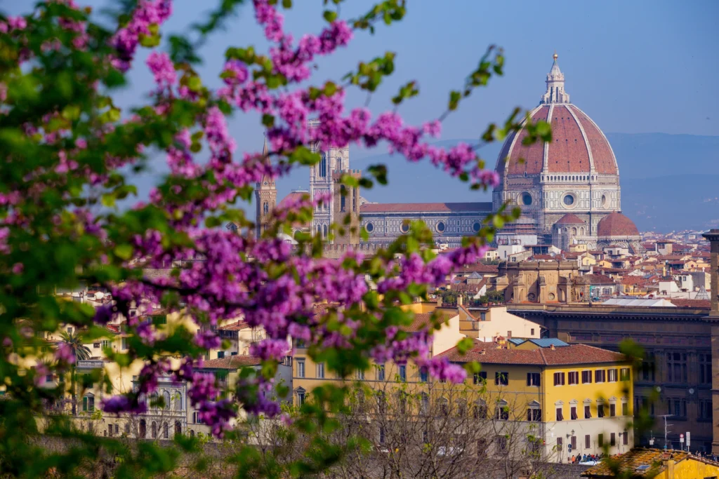 vista de Florencia