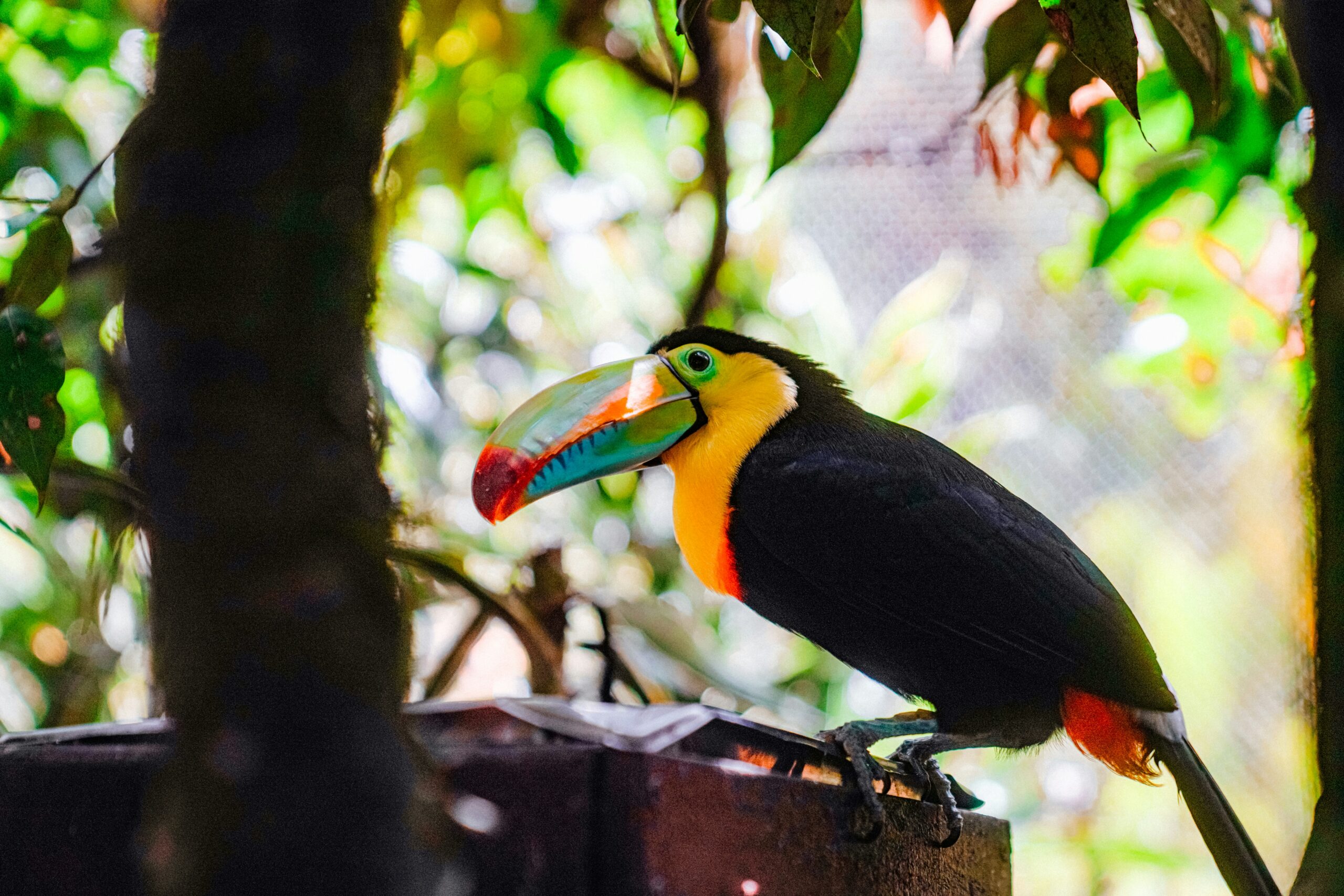 COSTA RICA