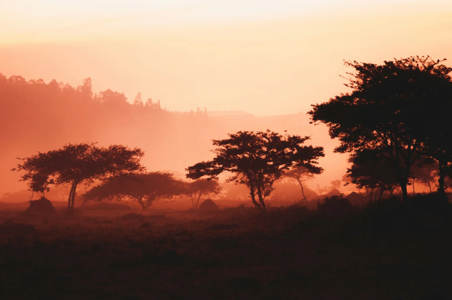 Ruanda. Viajes a medida con L'Artisan by MTGlobal
