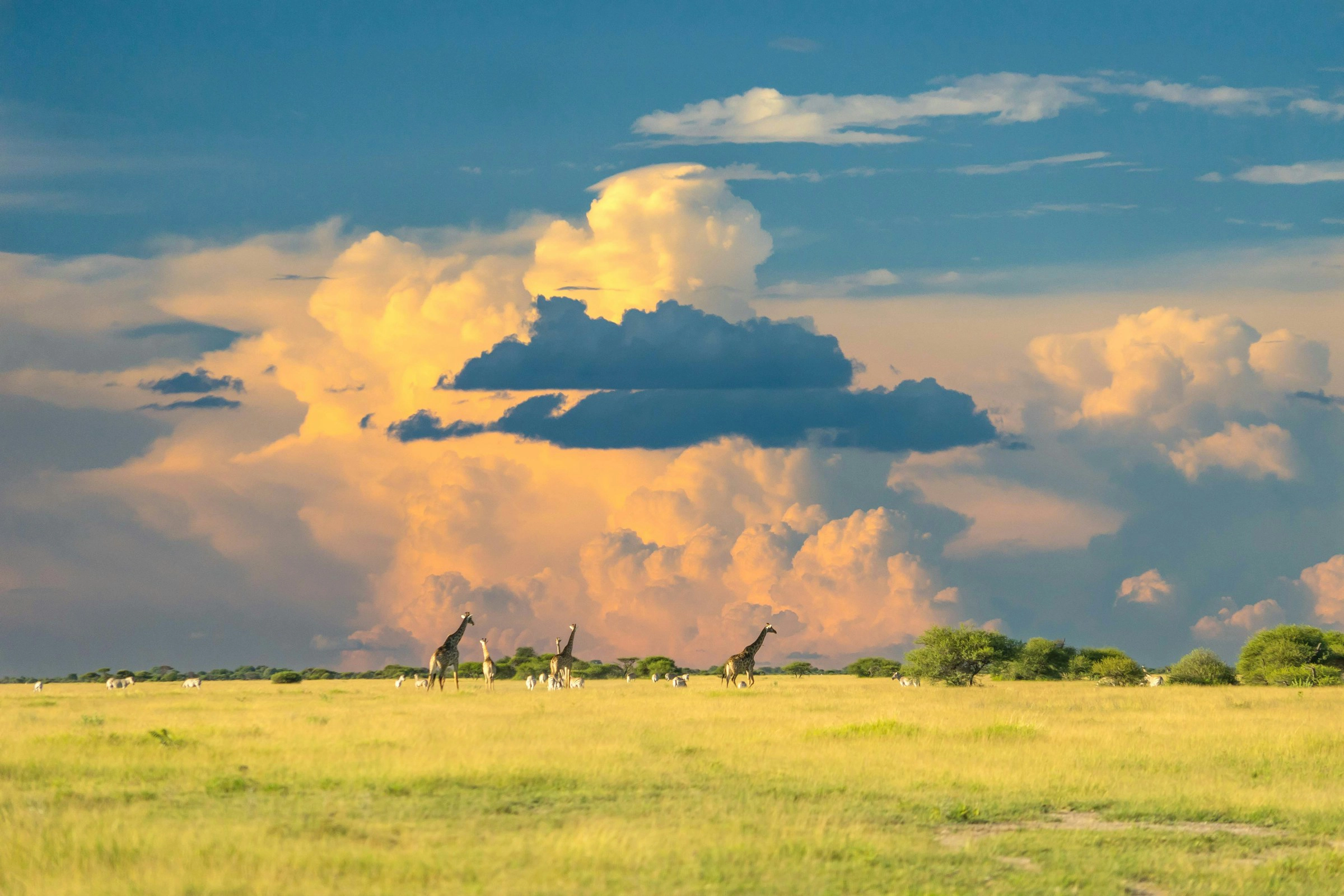 NAMIBIA