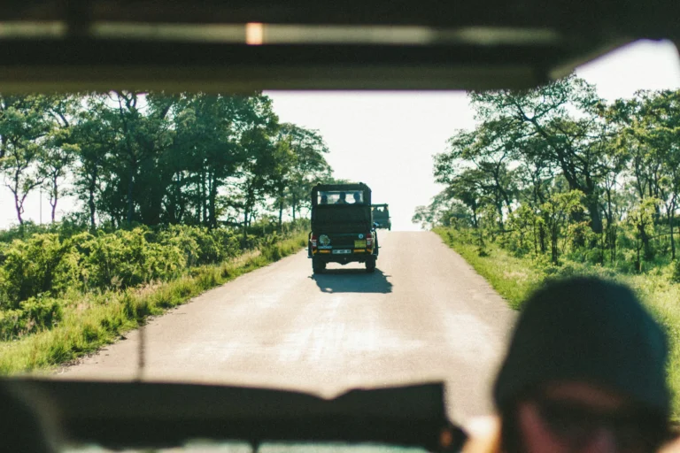 Safari en Sudáfrica. Experiencias a medida con L'Artisan by MTGlobal